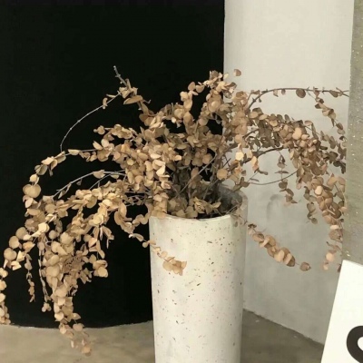 兽设配色搭配思路福瑞交流群